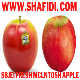 FRESH MCLNTOSH APPLE